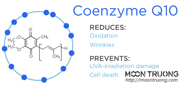 coenzyme-q10-va-nhung-loi-ich-chong-lao-hoa-hieu-qua-cho-da