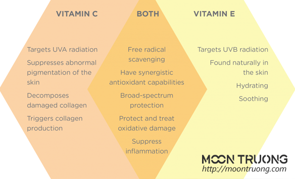 vitamin-e-va-nhiem-vu-trong-my-pham