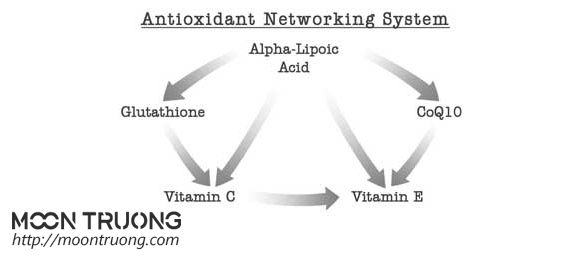 cong-dung-cua-lipoic-acid-trong-duoc-my-pham-la-gi