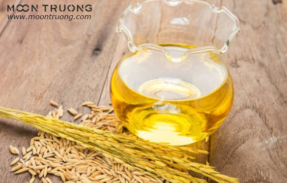 dau-cam-gao-oryza-sativa-rice-germ-oil-va-cong-dung-trong-cham-soc-da