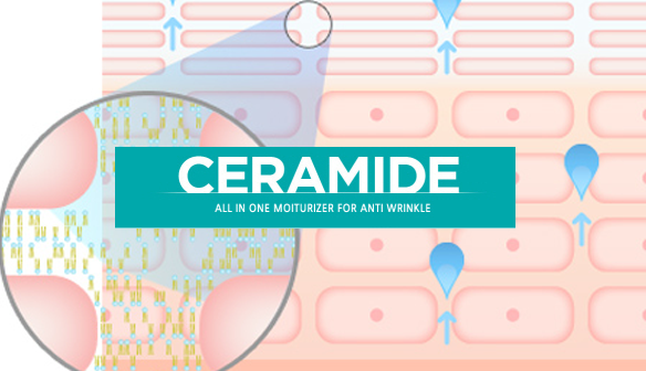 vai-tro-cua-ceramide-3-trong-duong-da