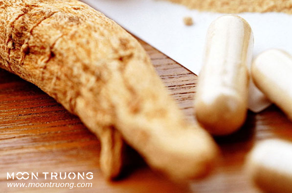 chiet-xuat-nhan-sam-han-quoc-panax-ginseng-root-extract