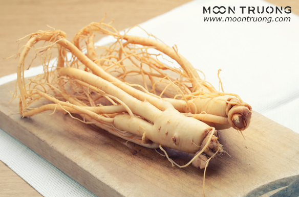 chiet-xuat-nhan-sam-han-quoc-panax-ginseng-root-extract