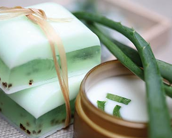 Công dụng của Lô hội (Aloe Vera) trong mỹ phẩm dưỡng da