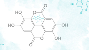Ellagic Acid - giải pháp mới thay thế Hydroquinone làm trắng da