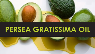 Đừng bỏ qua dầu quả bơ Persea Gratissima (Avocado) Oil trong mỹ phẩm