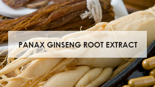Chiết xuất nhâm sâm Hàn Quốc Panax Ginseng Root Extract